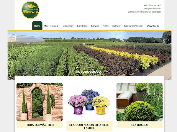 Hellwig Pflanzen Projekte