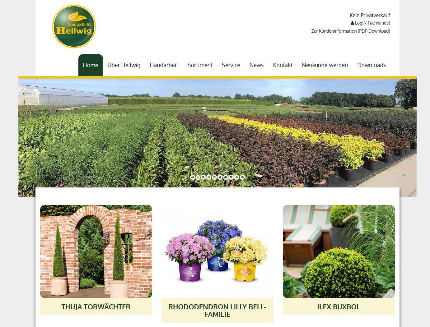 Hellwig Pflanzen Projekte