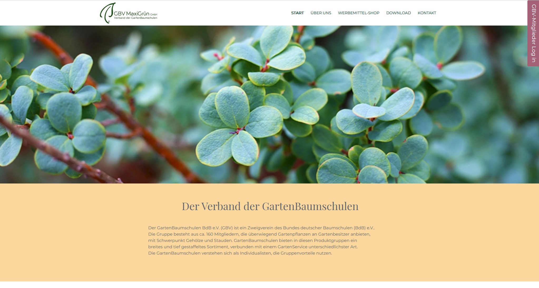 GBV Maxigrün Projekte