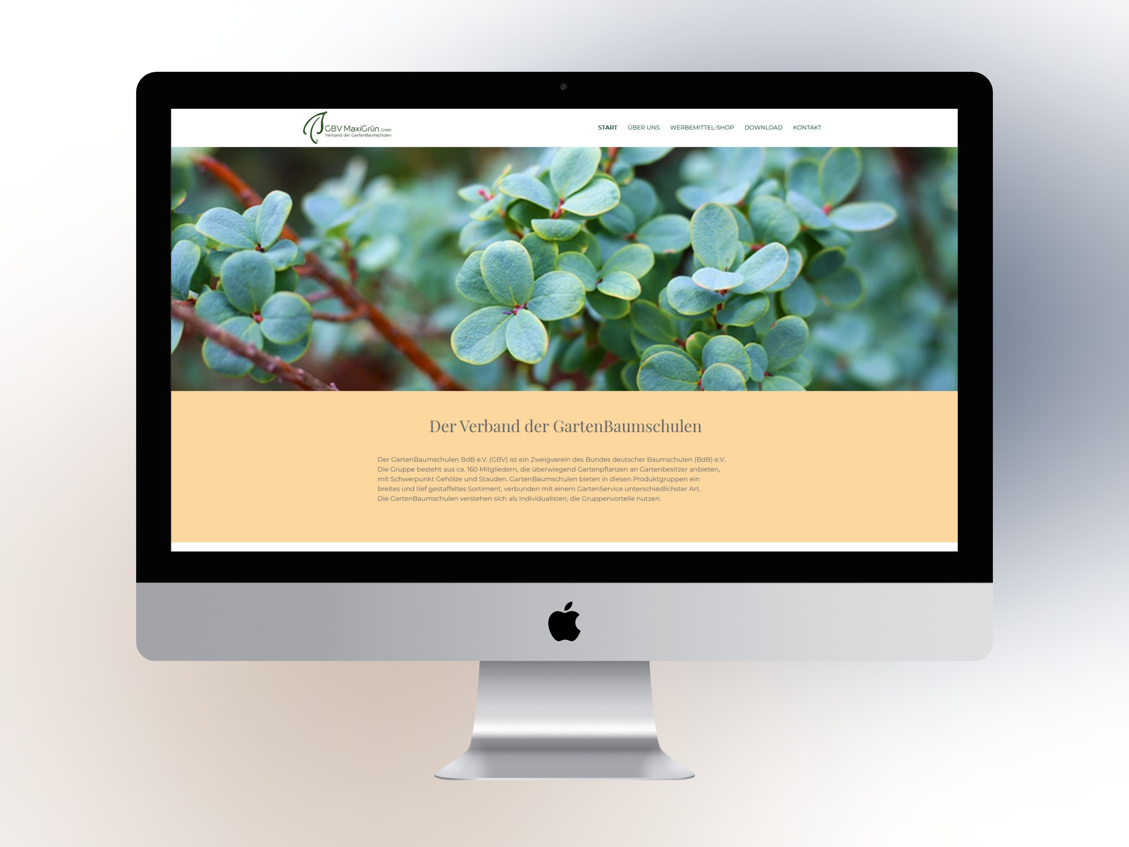 GBV Maxigrün Mockup Desktop
