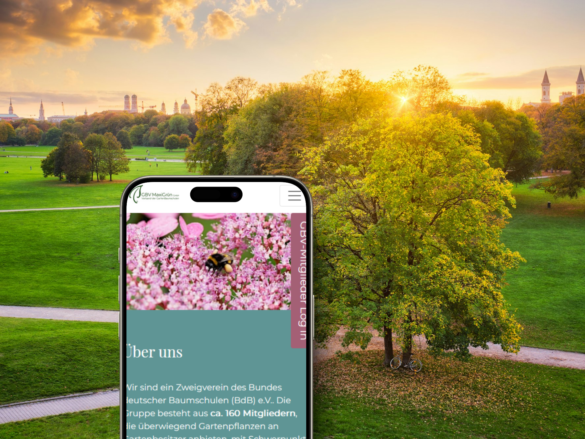 GBV Maxigrün Mockup Mobile