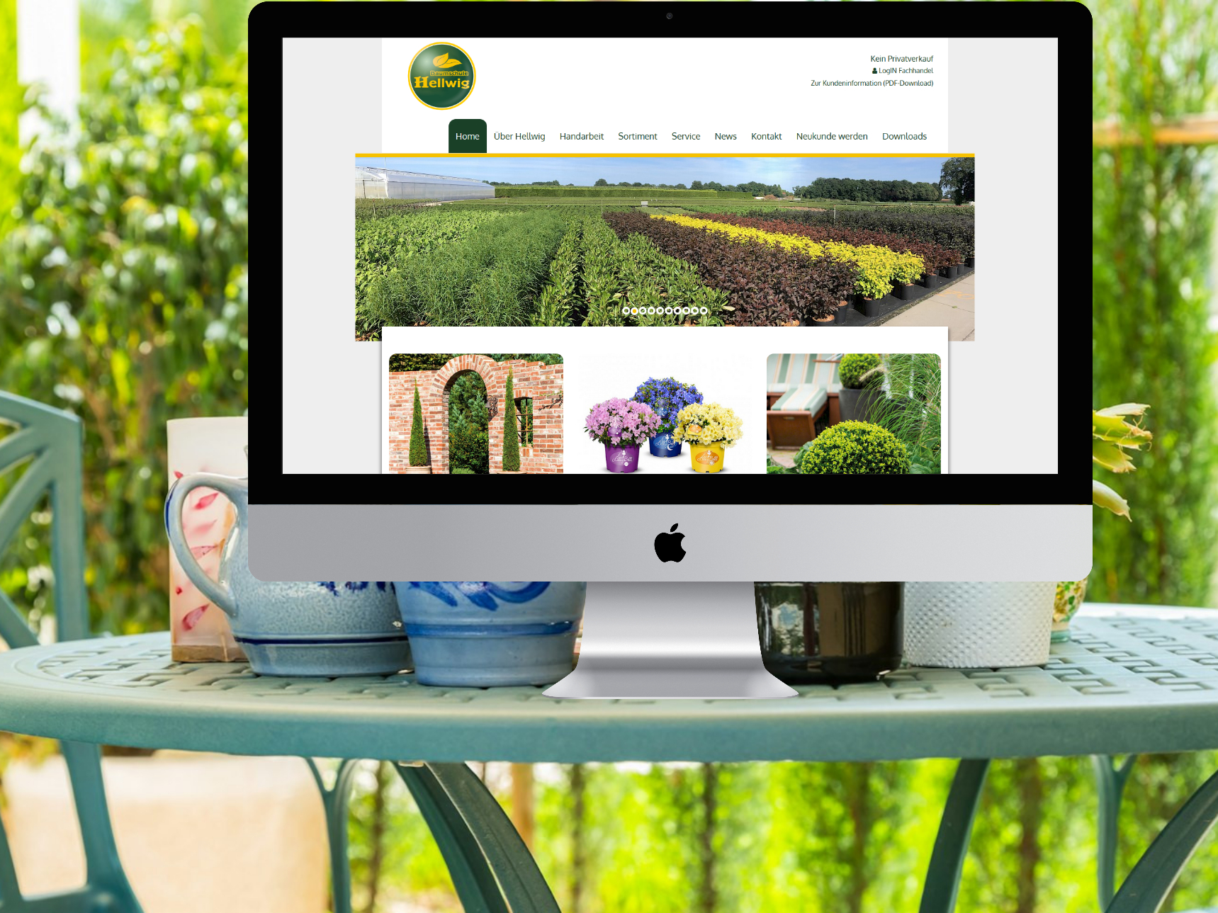 Hellwig Pflanzen Mockup Desktop