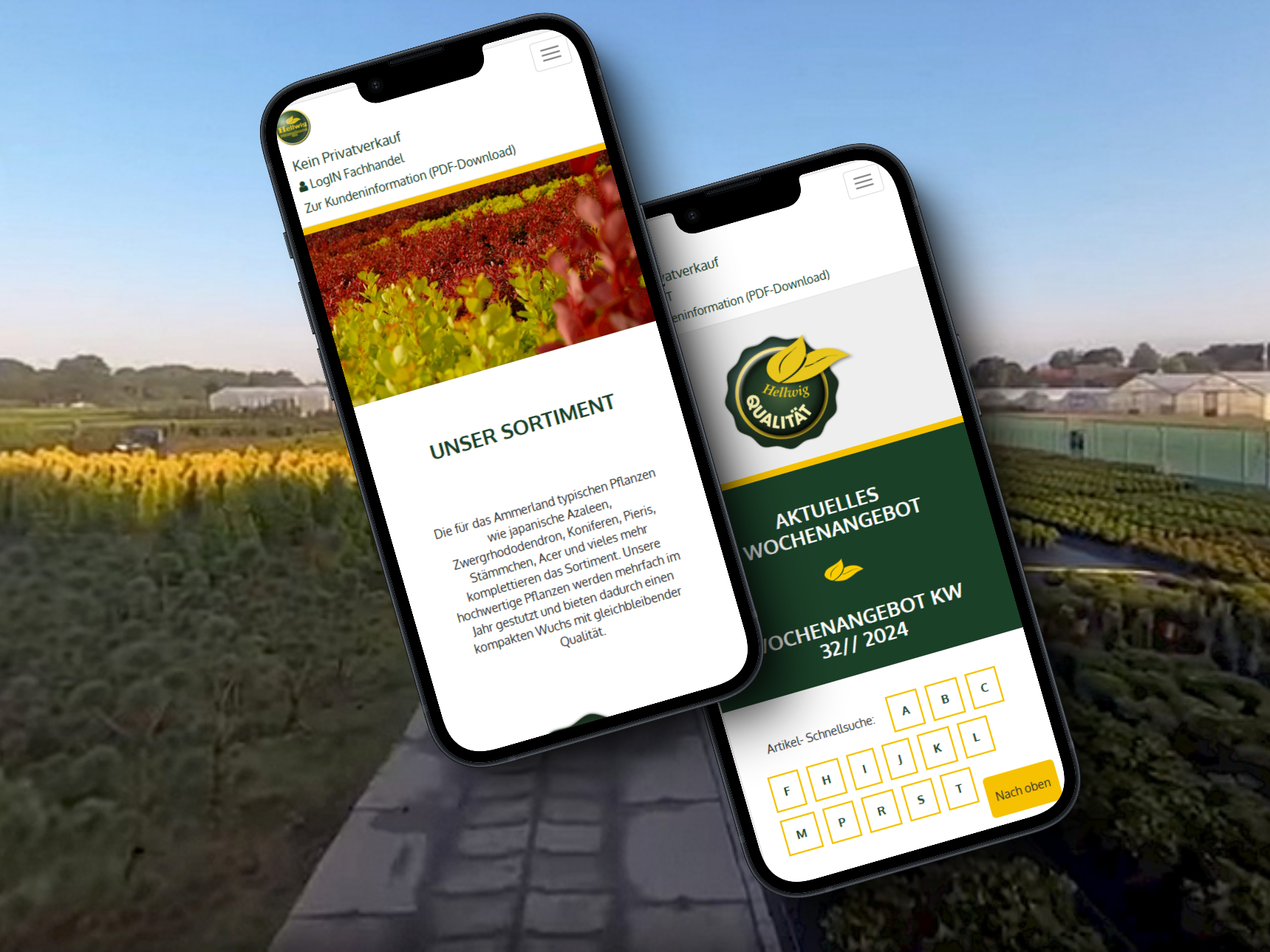 Hellwig Pflanzen Mockup Mobile