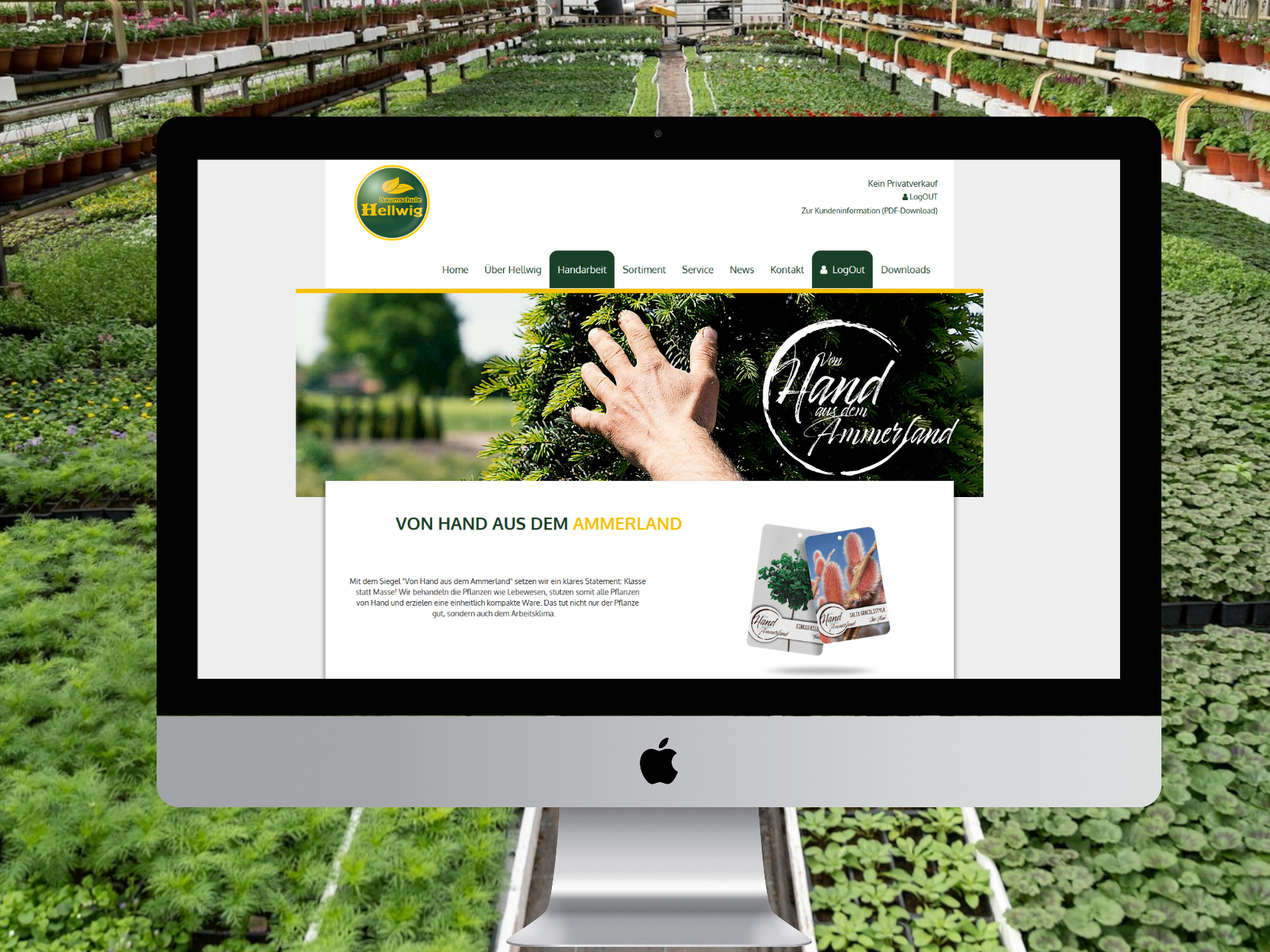 Hellwig Pflanzen Mockup Shop